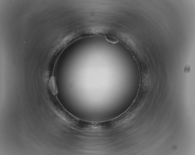 X0000097480260200802221359