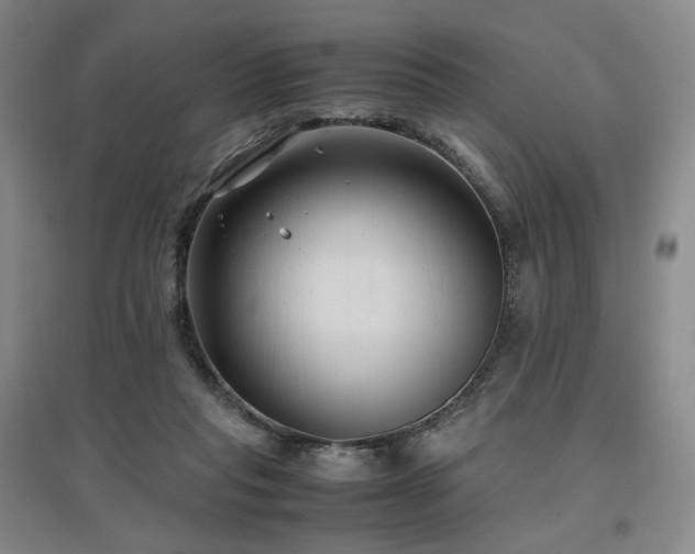 X0000097480261200802221359