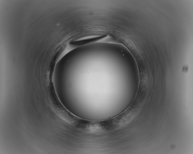 X0000097480262200802221359