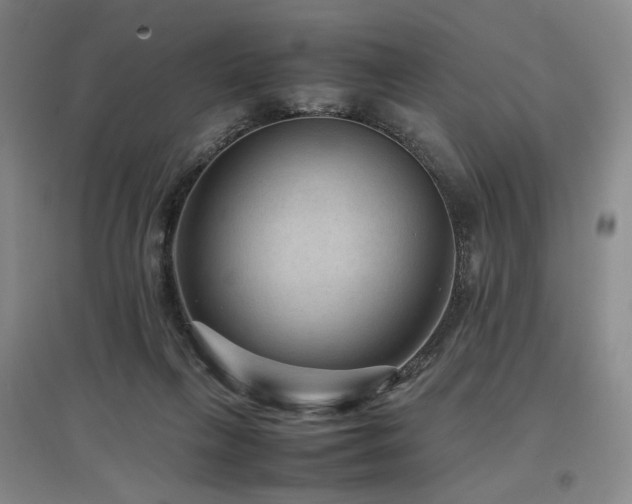 X0000097480263200802221359