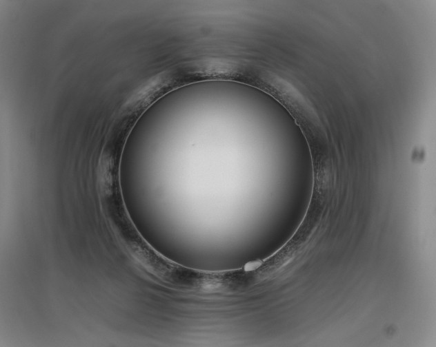 X0000097480264200802221359