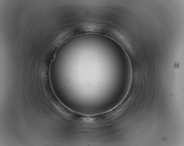 X0000097480265200802221359