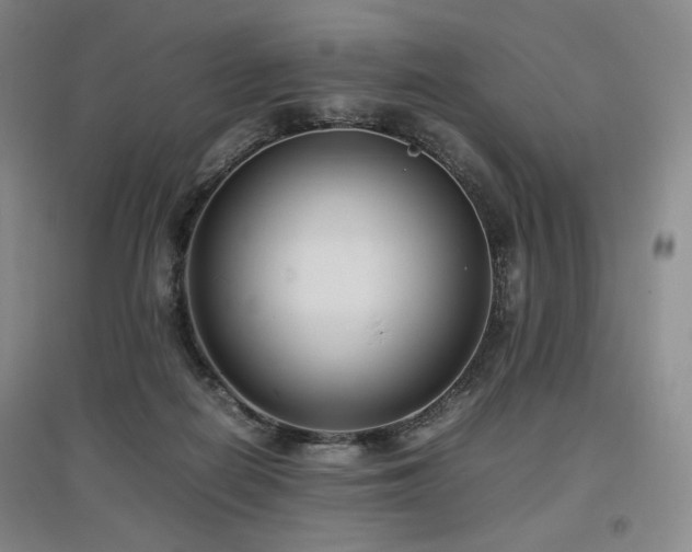 X0000097480266200802221359