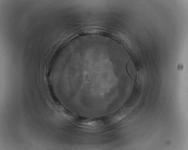 X0000097480267200802221359