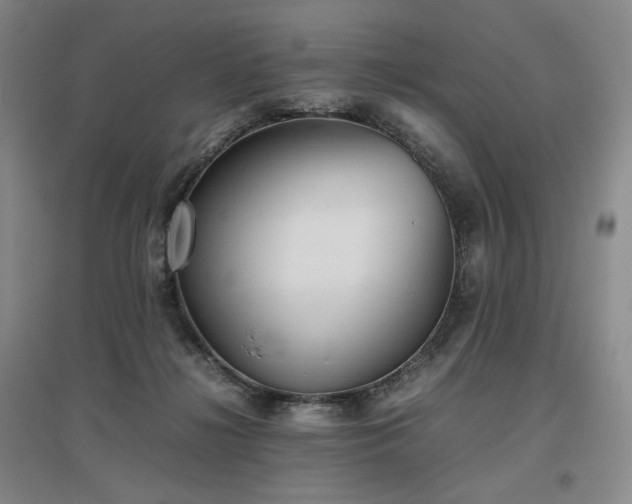 X0000097480268200802221359