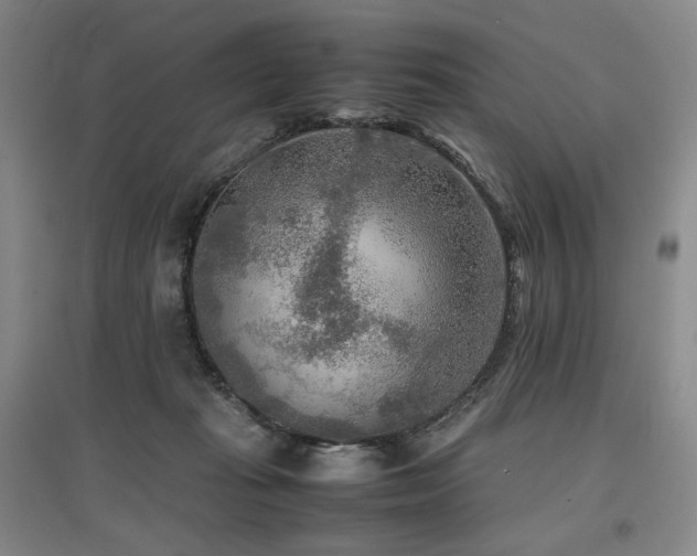 X0000097480269200802221359