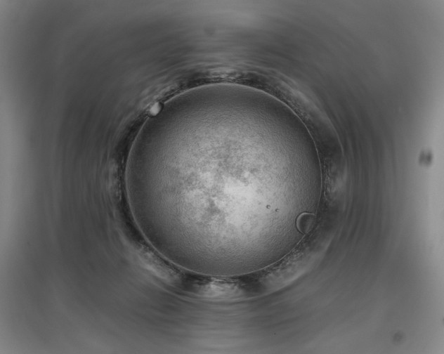 X0000097480270200802221359