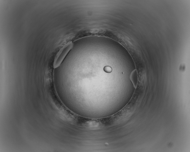 X0000097480272200802221359