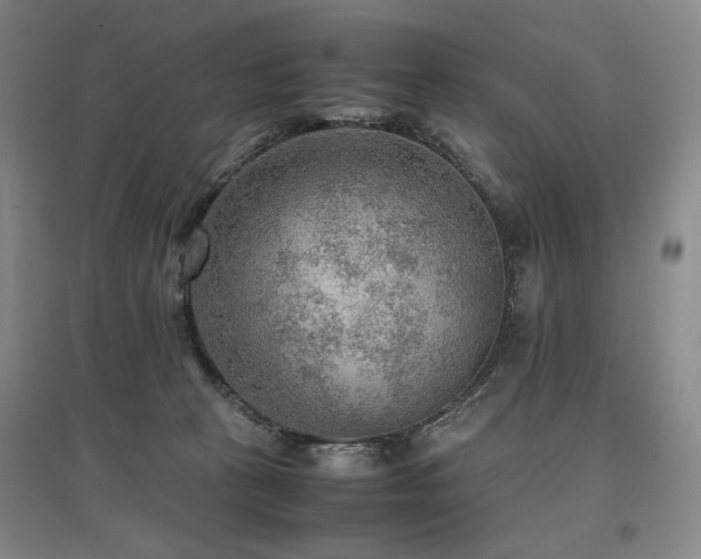 X0000097480273200802221359