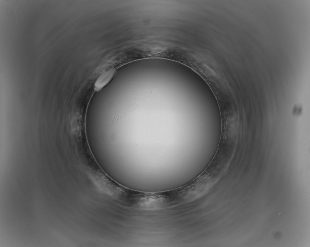 X0000097480274200802221359