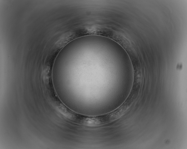 X0000097480275200802221359