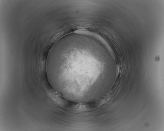 X0000097480276200802221359