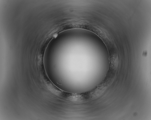 X0000097480278200802221359