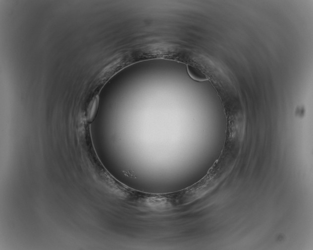 X0000097480279200802221359