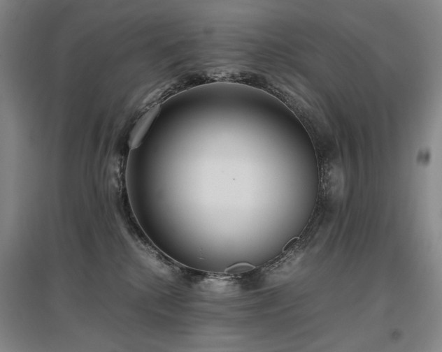 X0000097480280200802221359