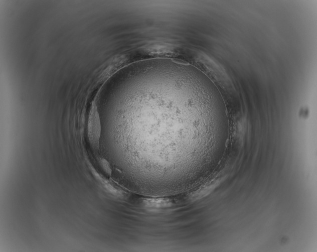X0000097480281200802221359