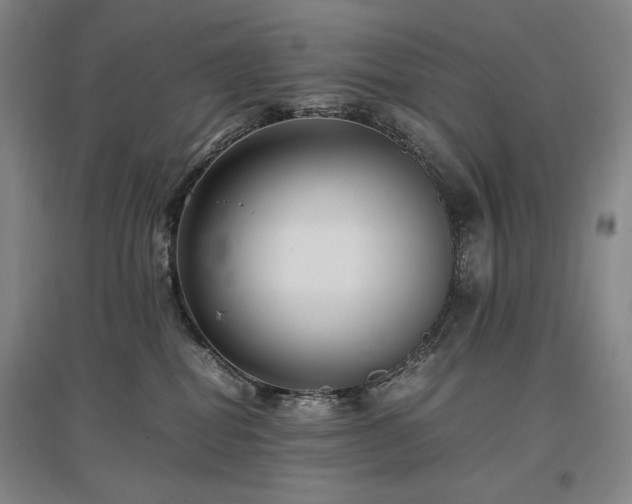 X0000097480282200802221359