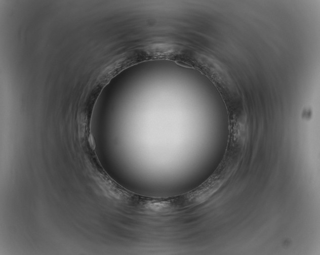 X0000097480283200802221359