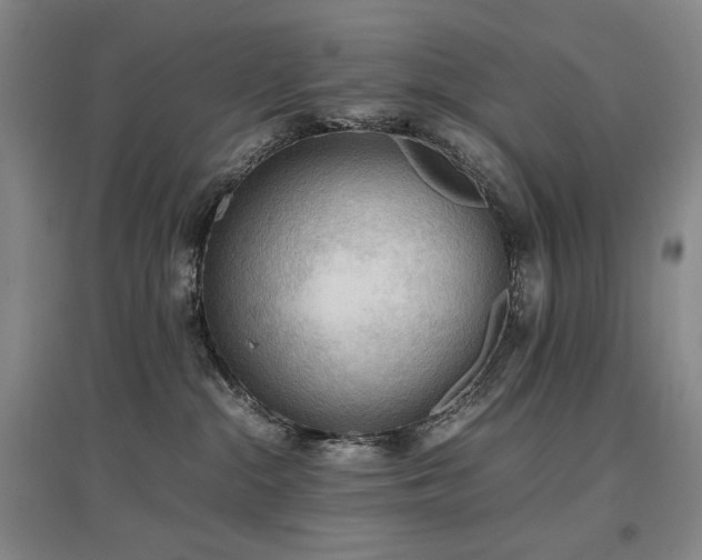 X0000097480284200802221359