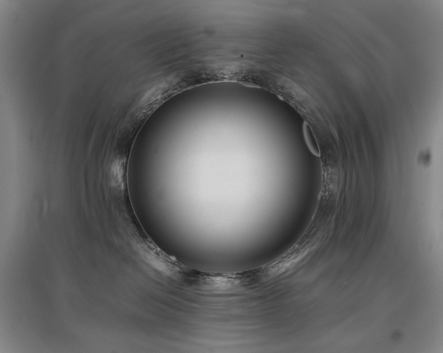 X0000097480286200802221359