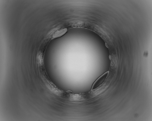 X0000097480287200802221359