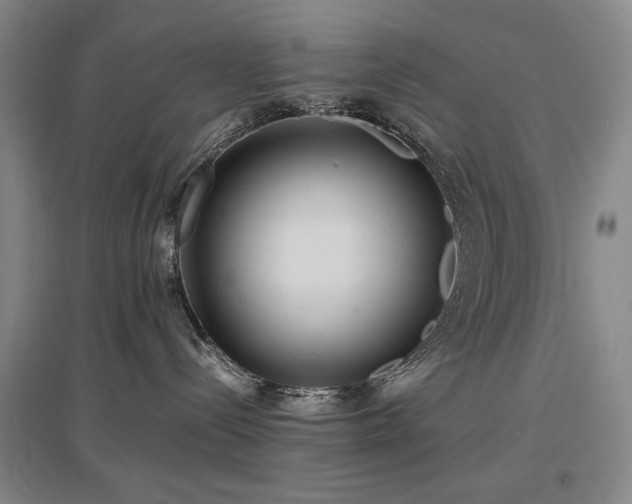 X0000097480288200802221359