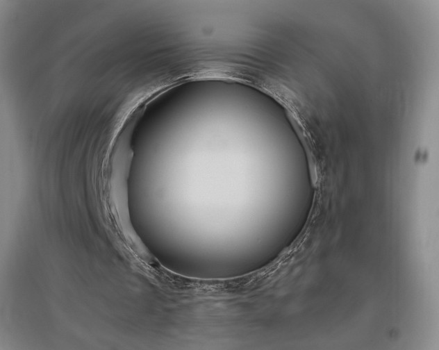 X0000097480289200802221358
