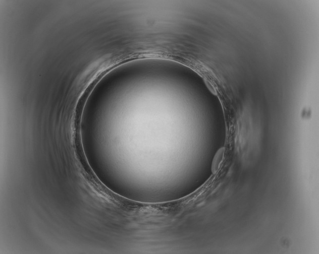 X0000097480290200802221358