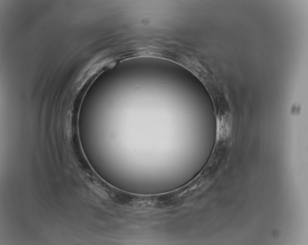X0000097480291200802221358