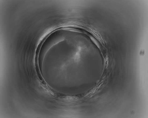 X0000097480292200802221358