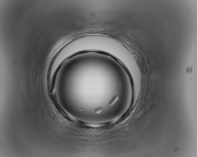 X0000097480293200802221358