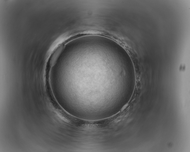 X0000097480296200802221358
