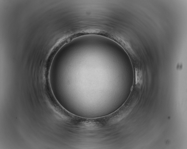 X0000097480300200802221358