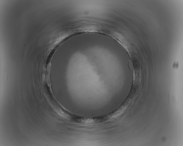 X0000097480301200802221358