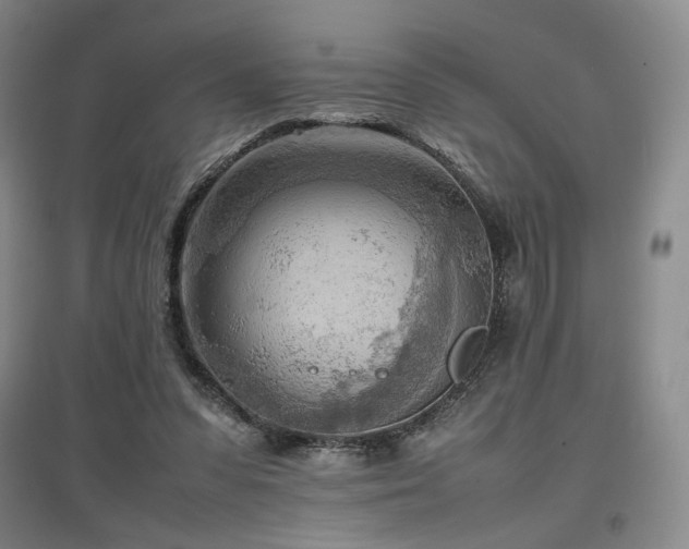 X0000097480303200802221358