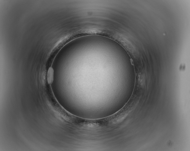 X0000097480304200802221358