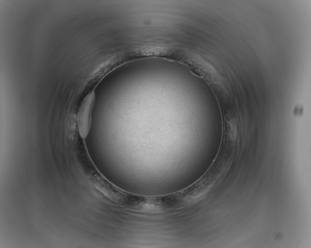 X0000097480308200802221358