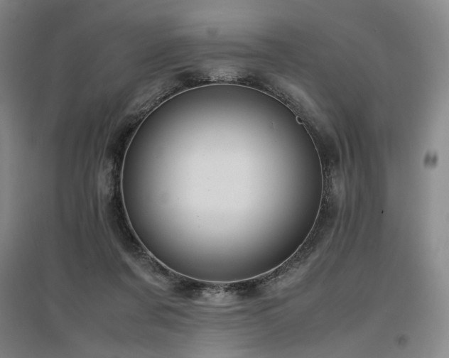X0000097480311200802221358