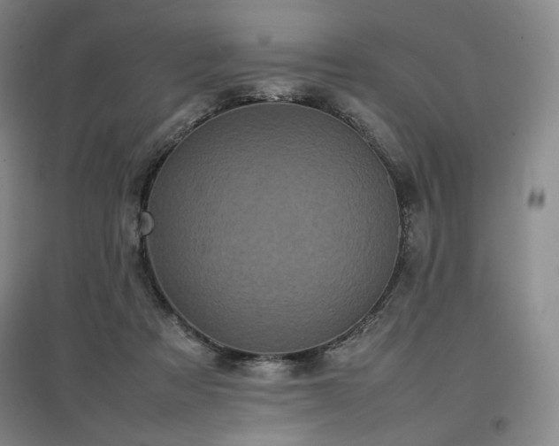 X0000097480313200802221358