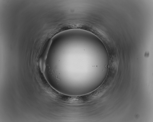 X0000097480315200802221358