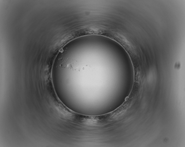 X0000097480318200802221358