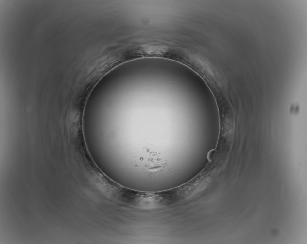 X0000097480321200802221358