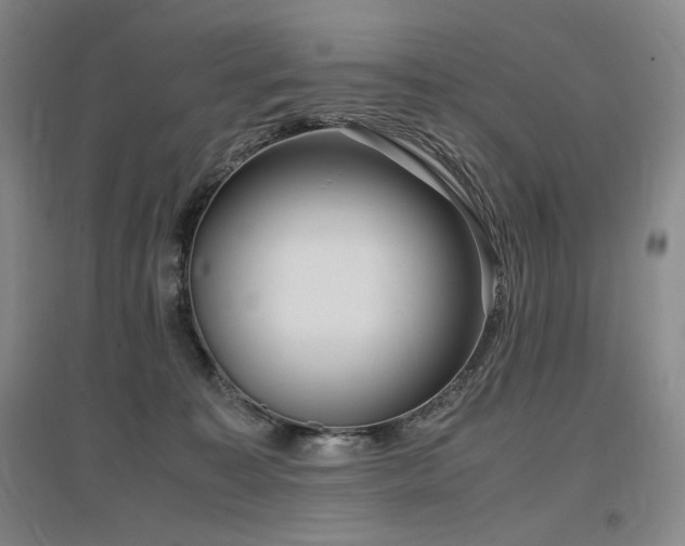 X0000097480323200802221358