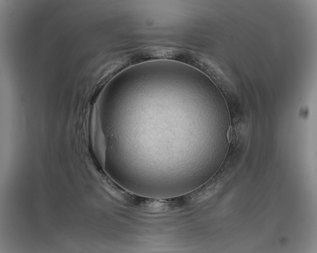X0000097480325200802221358