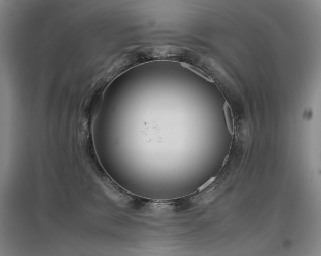 X0000097480327200802221358