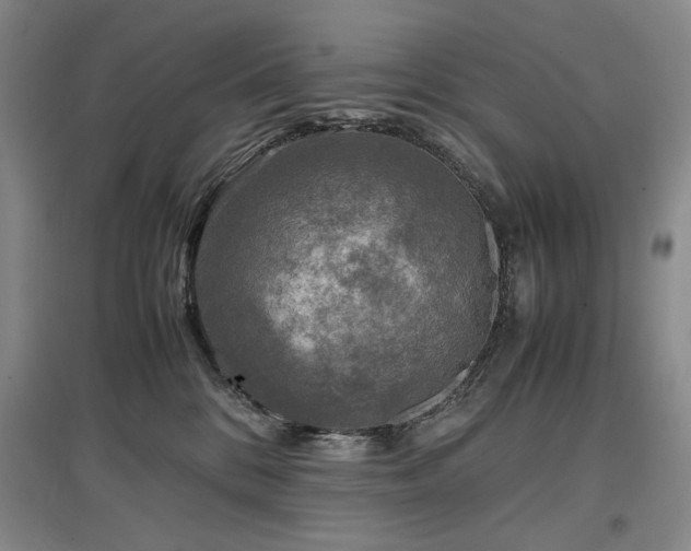 X0000097480328200802221358