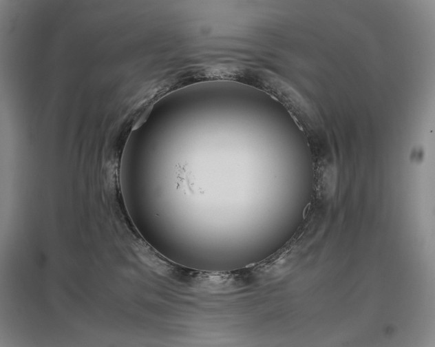 X0000097480329200802221358