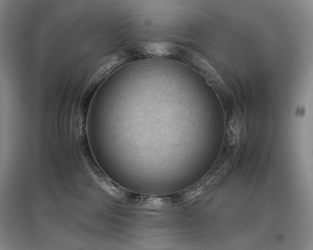 X0000097480330200802221358