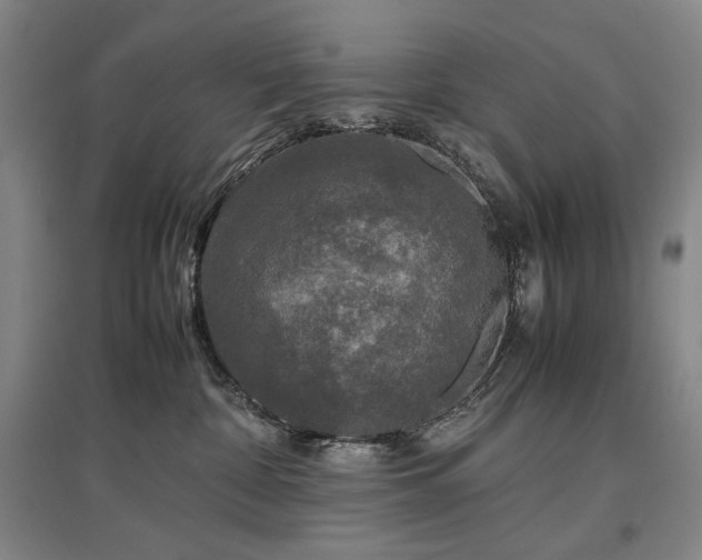 X0000097480332200802221358