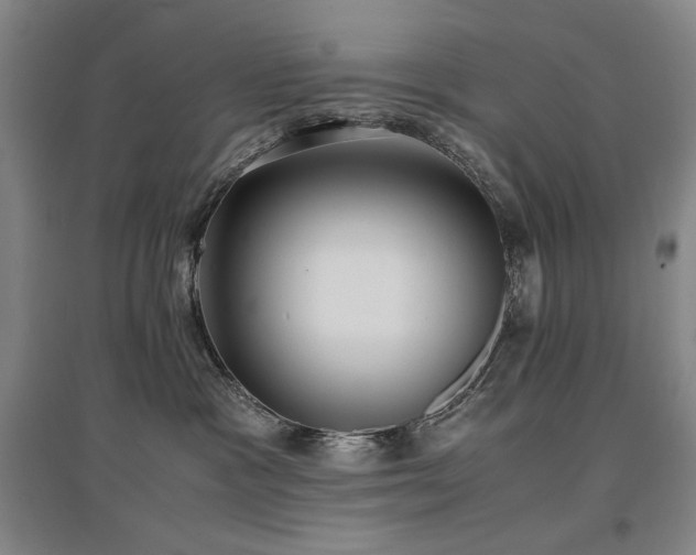 X0000097480333200802221357
